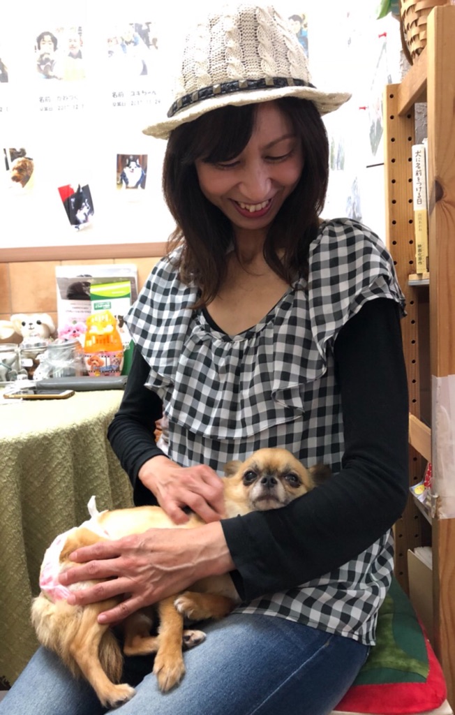 【運命の赤い糸見～つけた💓チワワのカオリちゃん💕、トイプードルのミルキーちゃん💕】